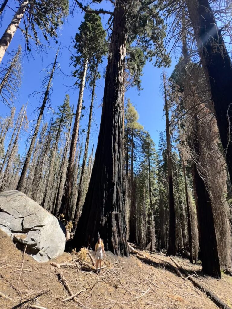 Kelsey Hannemann_Rhymetec